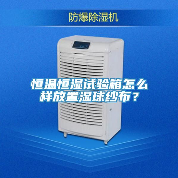 恒溫恒濕試驗箱怎么樣放置濕球紗布？