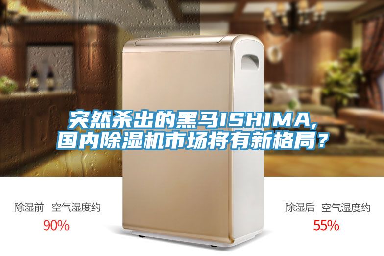 突然殺出的黑馬ISHIMA,國內(nèi)除濕機市場將有新格局？