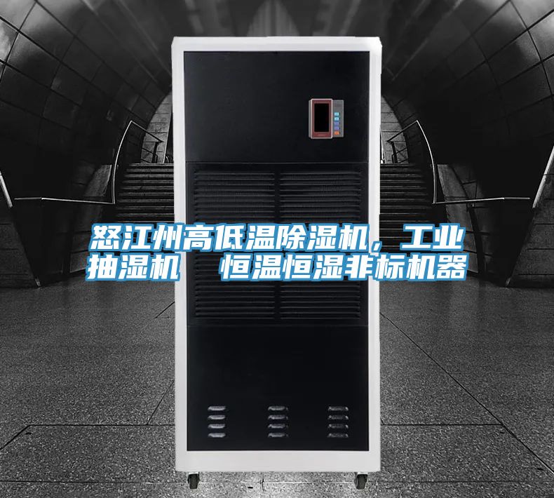 怒江州高低溫除濕機，工業抽濕機  恒溫恒濕非標機器