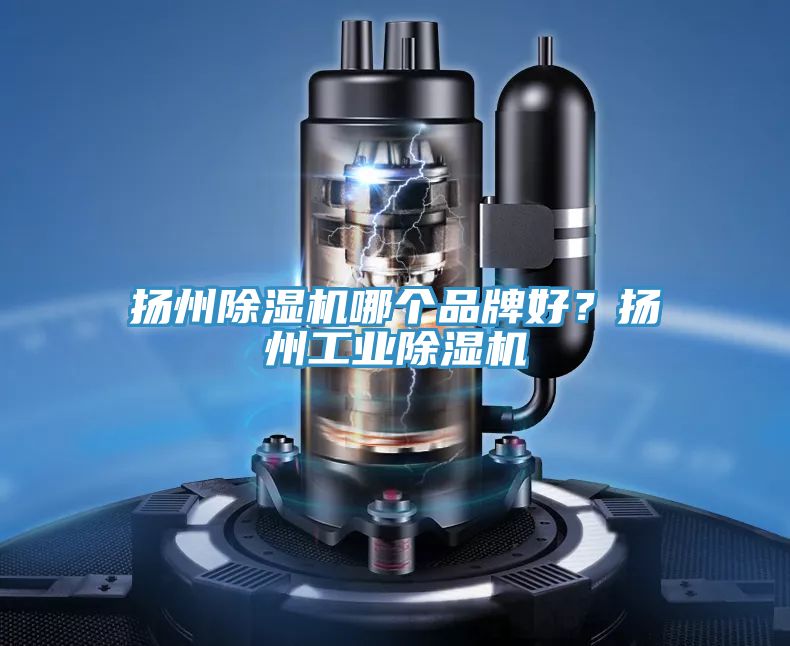 揚州除濕機哪個品牌好？揚州工業(yè)除濕機