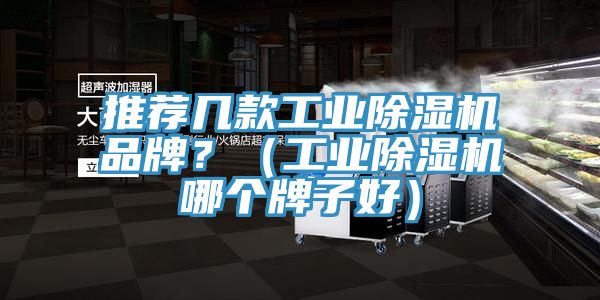 推薦幾款工業(yè)除濕機(jī)品牌？（工業(yè)除濕機(jī)哪個(gè)牌子好）