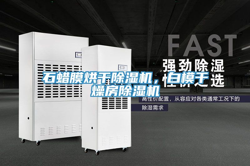 石蠟膜烘干除濕機，白模干燥房除濕機