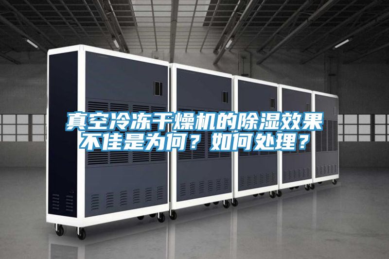 真空冷凍干燥機的除濕效果不佳是為何？如何處理？