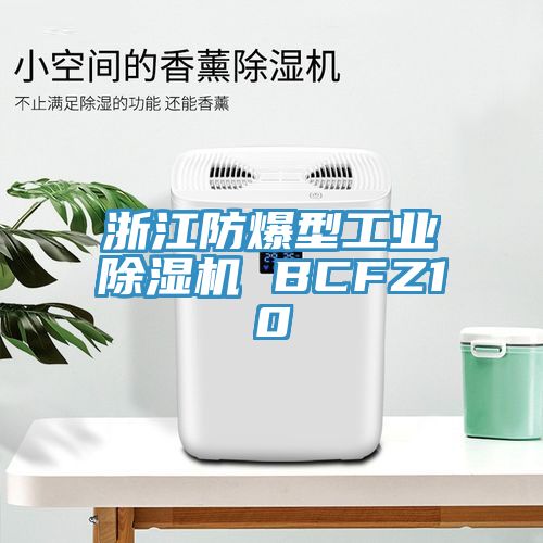 浙江防爆型工業除濕機 BCFZ10