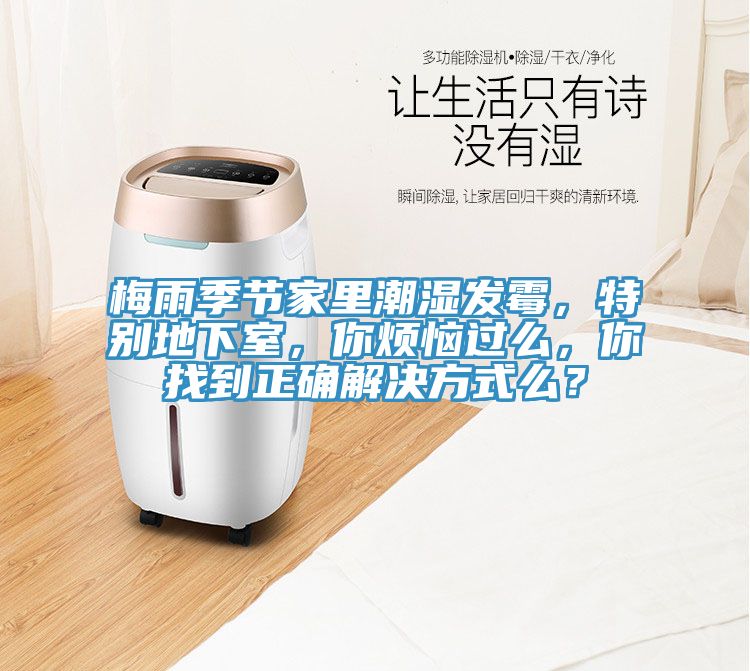 梅雨季節家里潮濕發霉，特別地下室，你煩惱過么，你找到正確解決方式么？