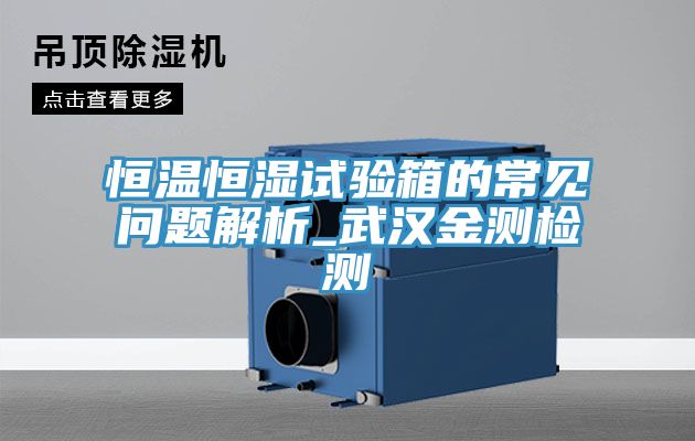 恒溫恒濕試驗(yàn)箱的常見問(wèn)題解析_武漢金測(cè)檢測(cè)