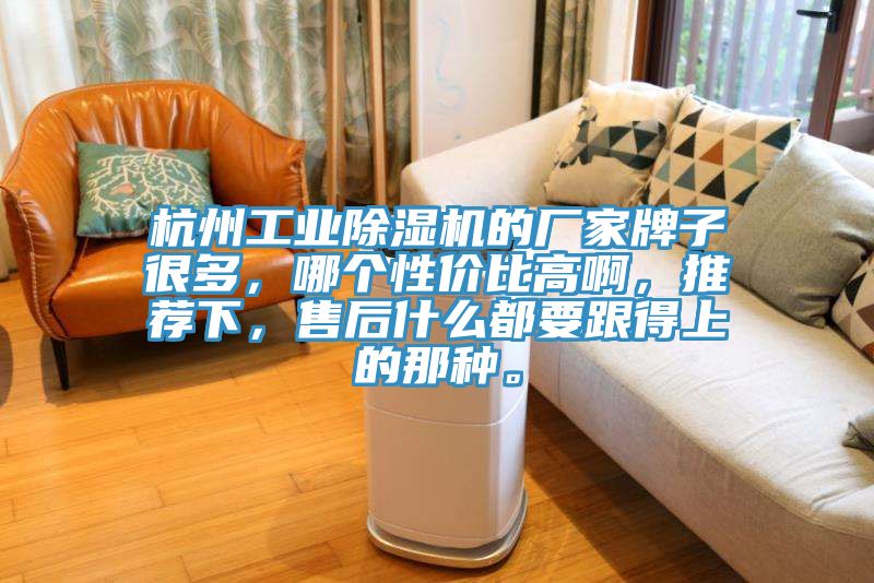 杭州工業除濕機的廠家牌子很多，哪個性價比高啊，推薦下，售后什么都要跟得上的那種。