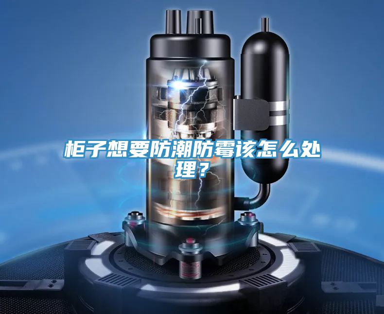 柜子想要防潮防霉該怎么處理？