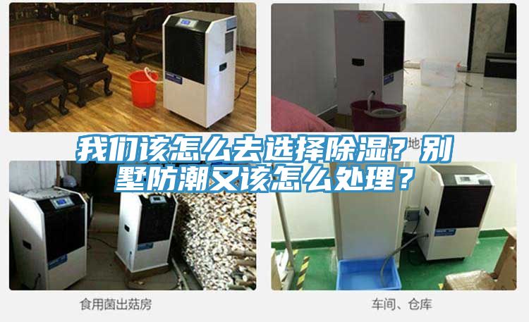 我們該怎么去選擇除濕？別墅防潮又該怎么處理？