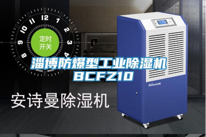 淄博防爆型工業除濕機 BCFZ10