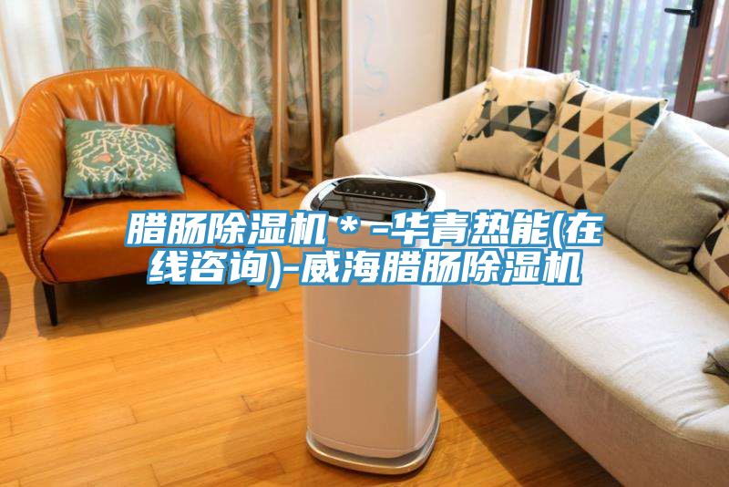臘腸除濕機＊-華青熱能(在線咨詢)-威海臘腸除濕機
