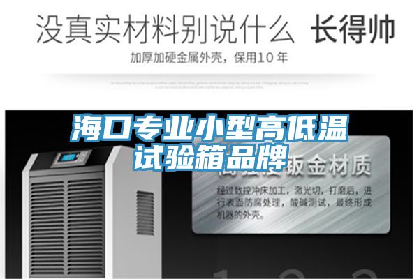 ?？趯?zhuān)業(yè)小型高低溫試驗(yàn)箱品牌