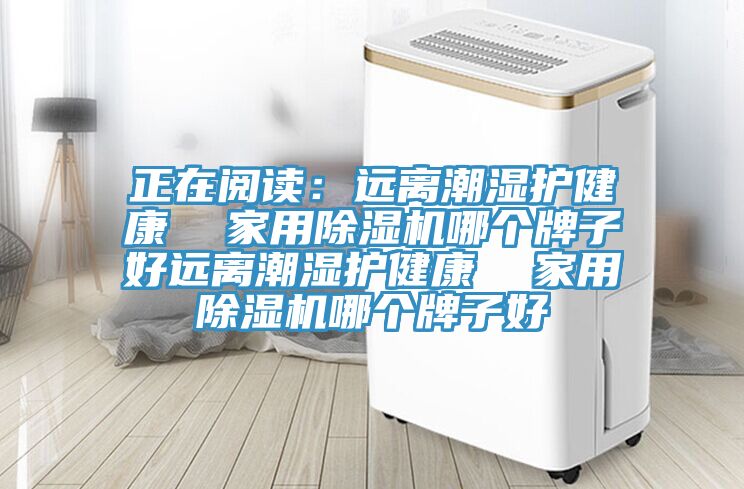 正在閱讀：遠離潮濕護健康  家用除濕機哪個牌子好遠離潮濕護健康  家用除濕機哪個牌子好