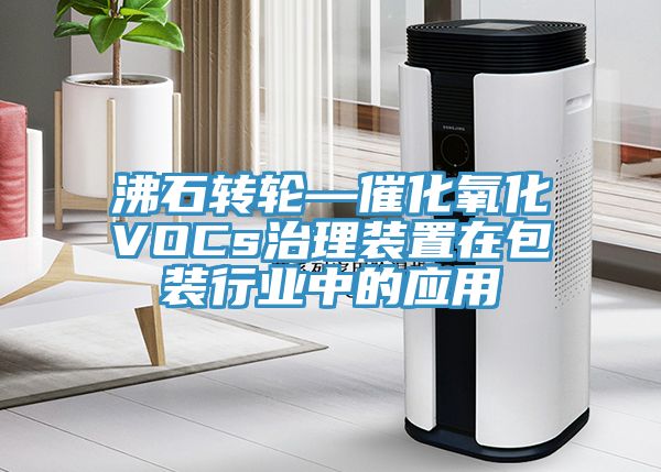沸石轉輪—催化氧化VOCs治理裝置在包裝行業中的應用
