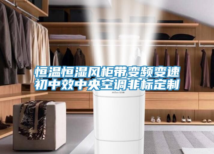 恒溫恒濕風柜帶變頻變速初中效中央空調非標定制
