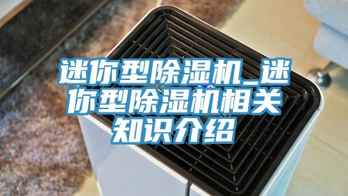 迷你型除濕機_迷你型除濕機相關知識介紹