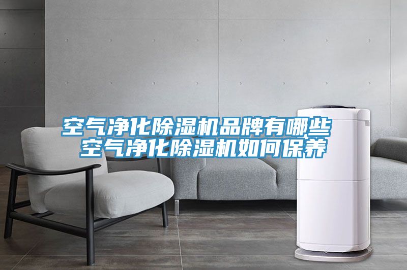 空氣凈化除濕機品牌有哪些 空氣凈化除濕機如何保養