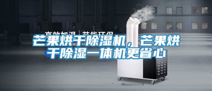 芒果烘干除濕機，芒果烘干除濕一體機更省心