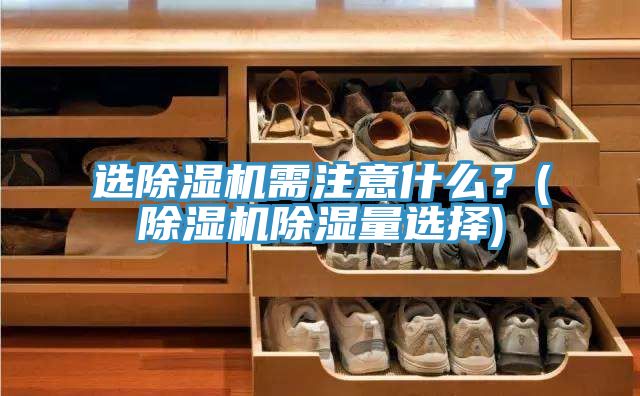 選除濕機需注意什么?(除濕機除濕量選擇)