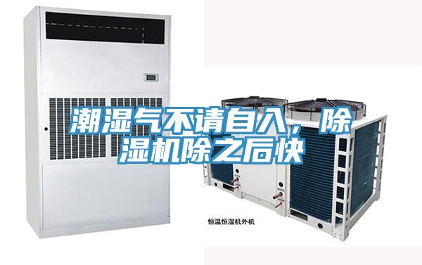 潮濕氣不請自入，除濕機除之后快