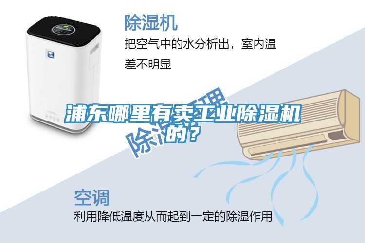 浦東哪里有賣工業除濕機的？
