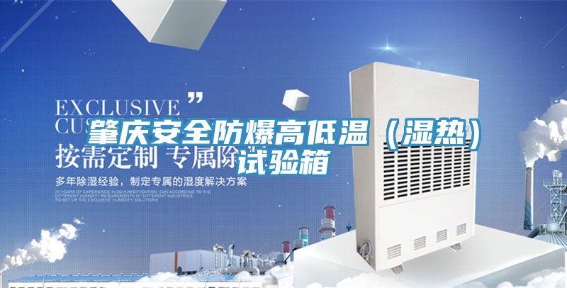 肇慶安全防爆高低溫（濕熱）試驗箱