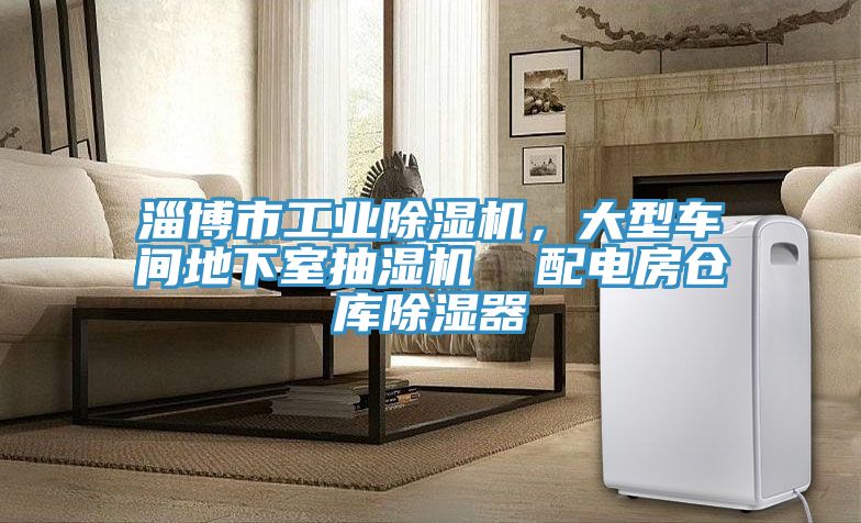 淄博市工業除濕機，大型車間地下室抽濕機  配電房倉庫除濕器
