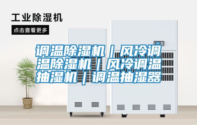 調(diào)溫除濕機|風(fēng)冷調(diào)溫除濕機|風(fēng)冷調(diào)溫抽濕機|調(diào)溫抽濕器