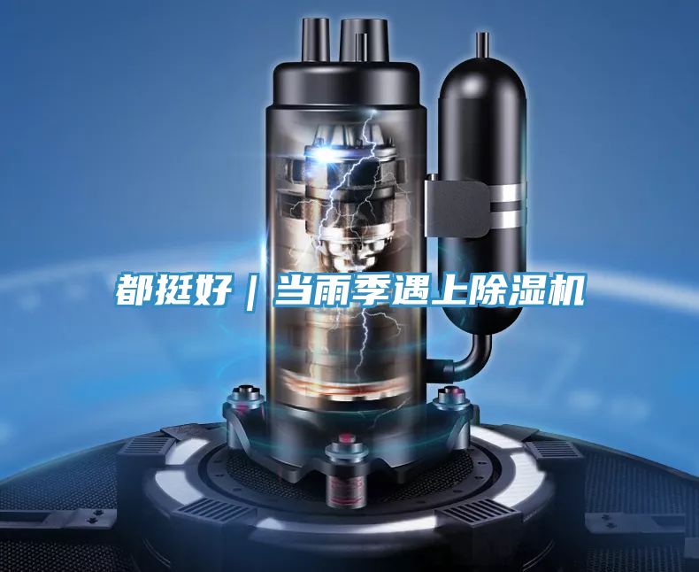 都挺好|當雨季遇上除濕機