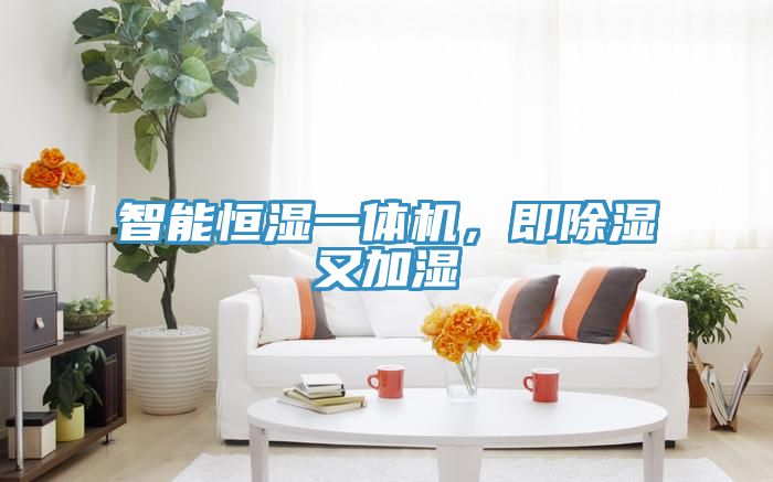 智能恒濕一體機,即除濕又加濕