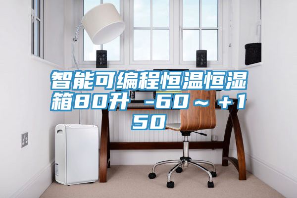 智能可編程恒溫恒濕箱80升 -60~+150℃