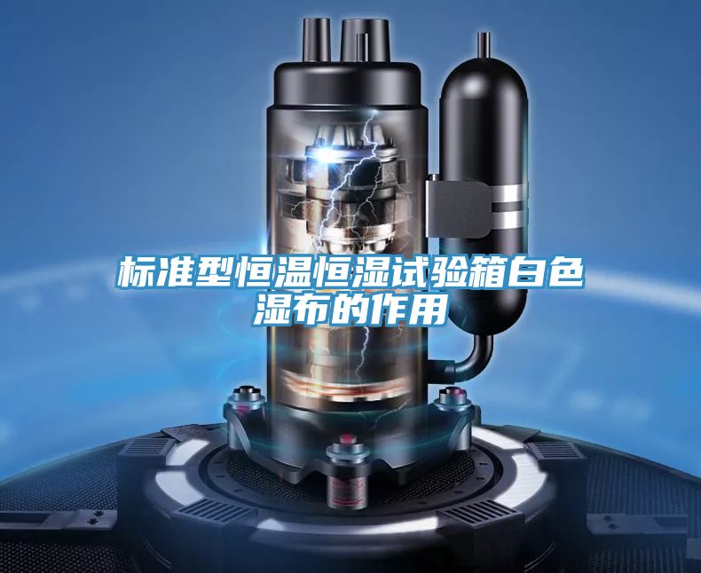 標準型恒溫恒濕試驗箱白色濕布的作用