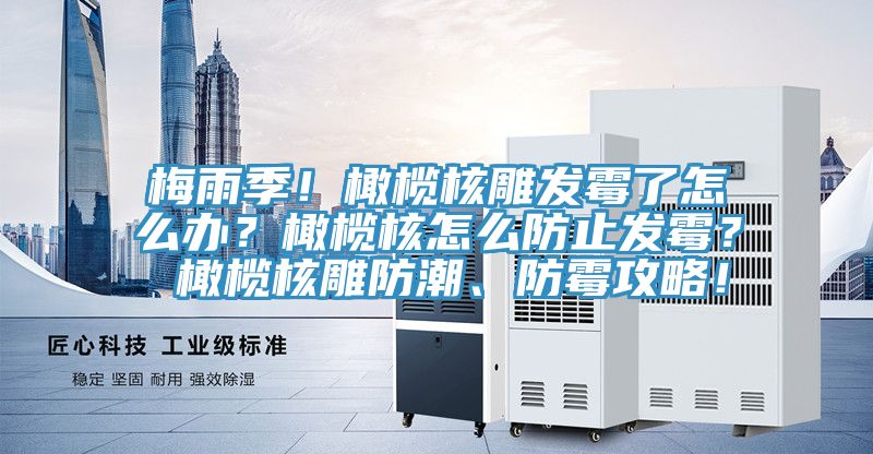 梅雨季！橄欖核雕發霉了怎么辦？橄欖核怎么防止發霉？ 橄欖核雕防潮、防霉攻略！