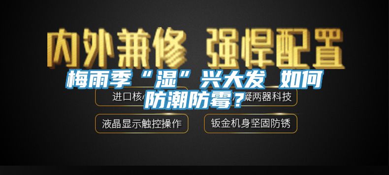梅雨季“濕”興大發 如何防潮防霉？