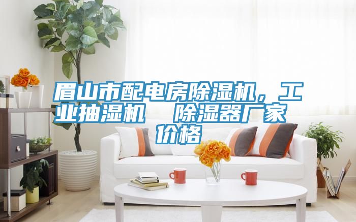 眉山市配電房除濕機，工業抽濕機  除濕器廠家 價格