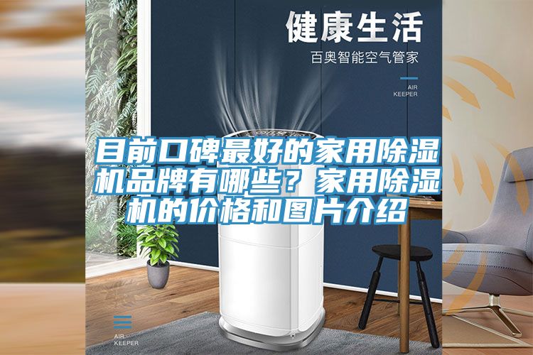 目前口碑最好的家用除濕機品牌有哪些？家用除濕機的價格和圖片介紹