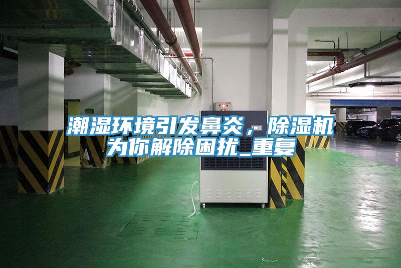 潮濕環境引發鼻炎，除濕機為你解除困擾_重復
