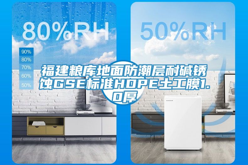 福建糧庫地面防潮層耐堿銹蝕GSE標(biāo)準(zhǔn)HDPE土工膜1.0厚