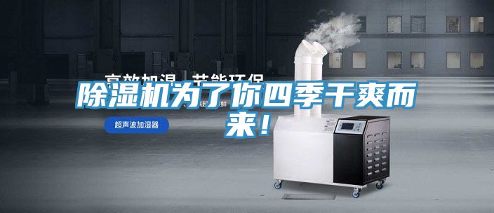 除濕機為了你四季干爽而來！