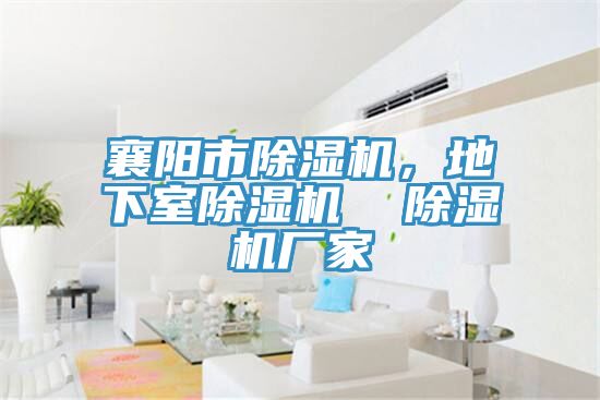 襄陽市除濕機，地下室除濕機  除濕機廠家