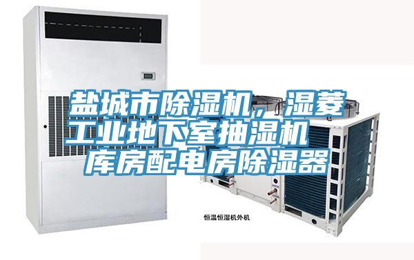 鹽城市除濕機(jī)，濕菱工業(yè)地下室抽濕機(jī)  庫(kù)房配電房除濕器