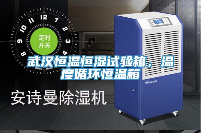 武漢恒溫恒濕試驗箱，溫度循環恒溫箱