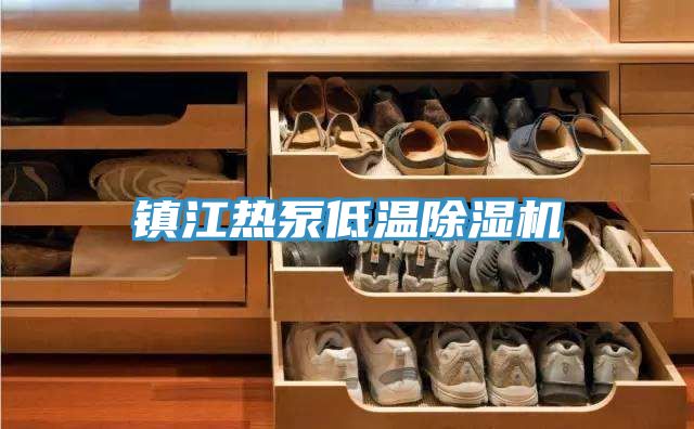 鎮(zhèn)江熱泵低溫除濕機