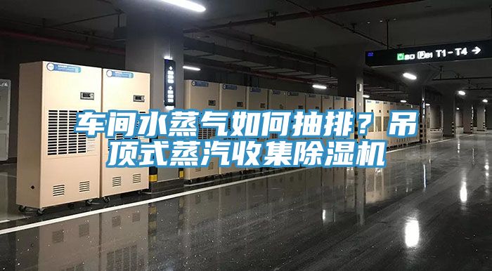 車間水蒸氣如何抽排？吊頂式蒸汽收集除濕機