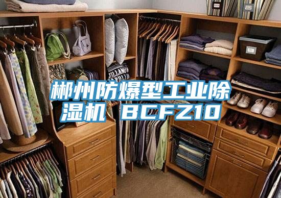 郴州防爆型工業除濕機 BCFZ10