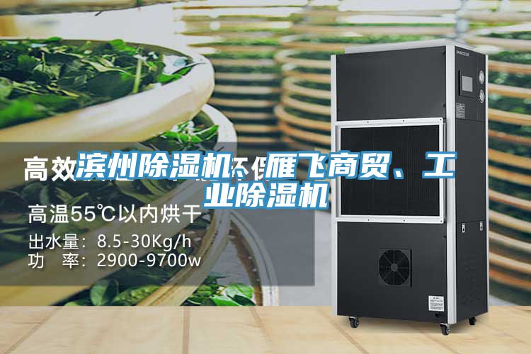 濱州除濕機、雁飛商貿、工業除濕機