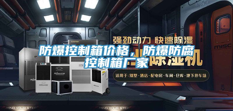 防爆控制箱價格，防爆防腐控制箱廠家