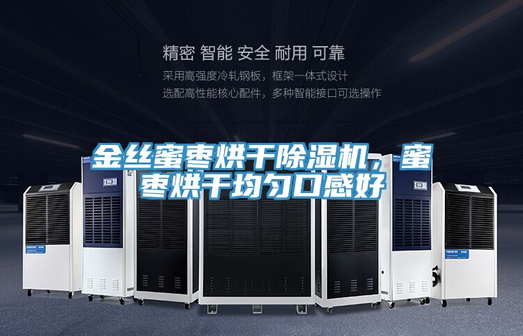 金絲蜜棗烘干除濕機,蜜棗烘干均勻口感好