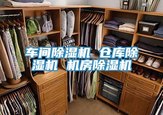 車間除濕機 倉庫除濕機 機房除濕機