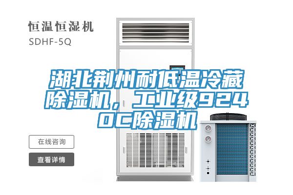 湖北荊州耐低溫冷藏除濕機，工業級9240C除濕機